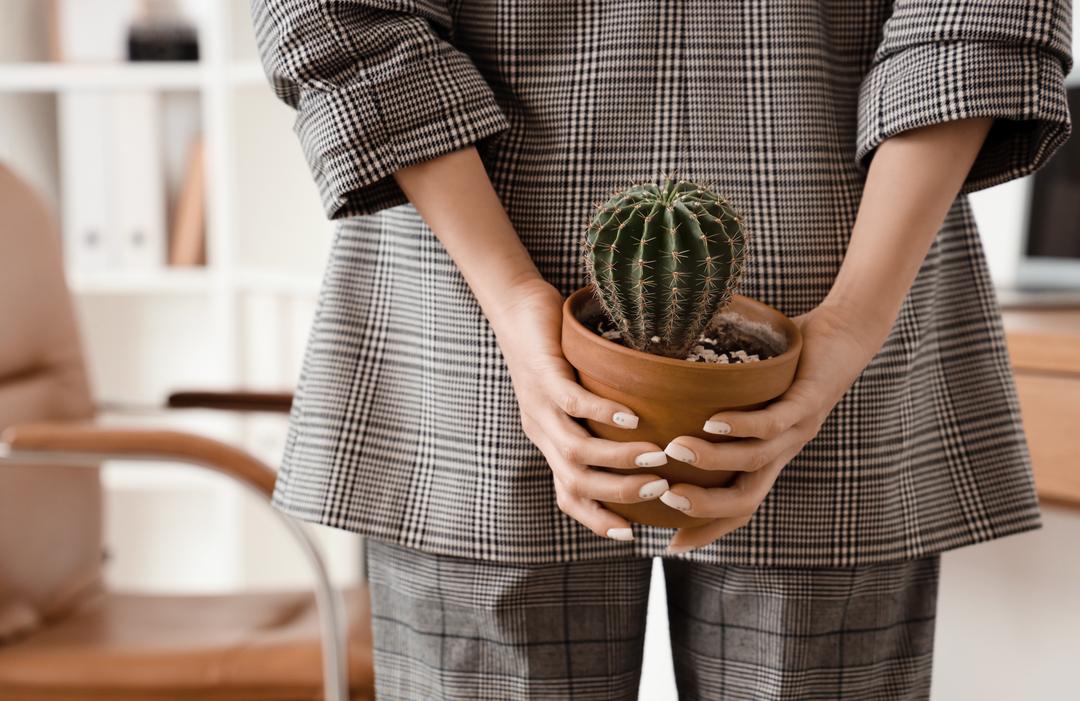 Person hält einen Blumentopf mit einem Kaktus vor dem Gesäß – Symbolbild für Hämorrhoiden und deren Beschwerden.